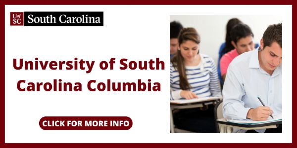 early childhood education degree online south carolina